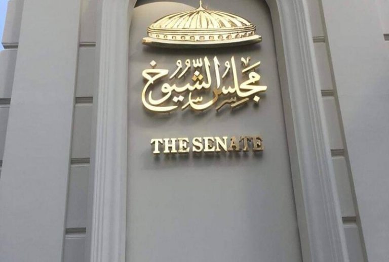 وكيل مجلس الشيوخ: تكلفة علاج الأورام تمثل عبئًا كبيرًا على الدولة والمواطن