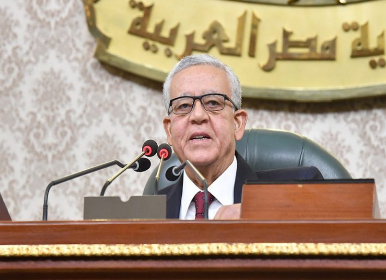 رئيس مجلس النواب المستشار حنفي جبالي