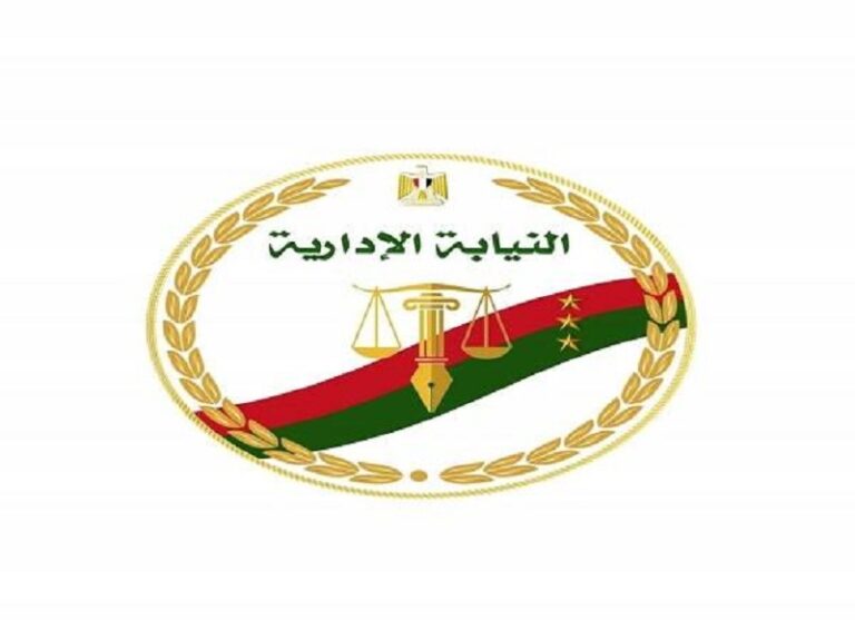 النيابة الإدارية تعاين موقع حريق مخبز غير مرخص بأسوان وتكلف لجنة فنية بالفحص