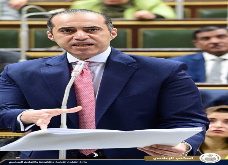 المستشار محمود فوزي،وزير الشؤون النيابية