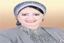 المستشارة أماني رجب