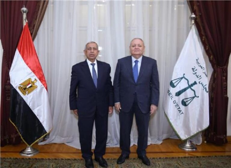 رئيس مجلس الدولة يستقبل رئيس الأكاديمية العربية للعلوم والتكنولوجيا والنقل البحري