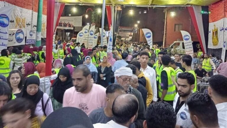 رئيس لجنة الدقهلية ينفي إغماء أي موظف خلال جولة الإعادة لمجلس النواب