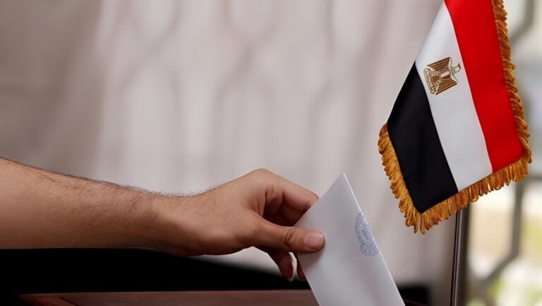بدء تصويت المصريين فى نيوزيلندا بإعادة الدوائر الـ 19 الملغاة بالمرحلة الأولى