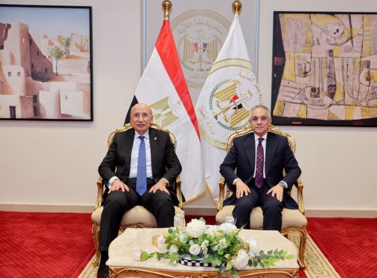 رئيس مجلس القضاء الأعلى يهنئ وزير العدل بمناسبة توليه مهام منصبه