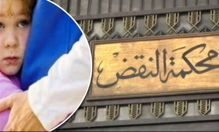 تحويل الأب للجنايات فى اتهامه بخطف ابنه من الحاضنة فى هذه الحالة.. برلمانى