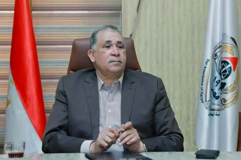 «المحامين» تبحث آليات تحسين الأداء داخل إدارات المعاشات والمالية