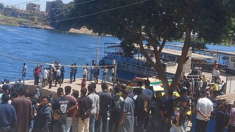 النيابة الإدارية تشكل لجنة لفحص واقعة سقوط سيارة من العبارة النهرية بسوهاج